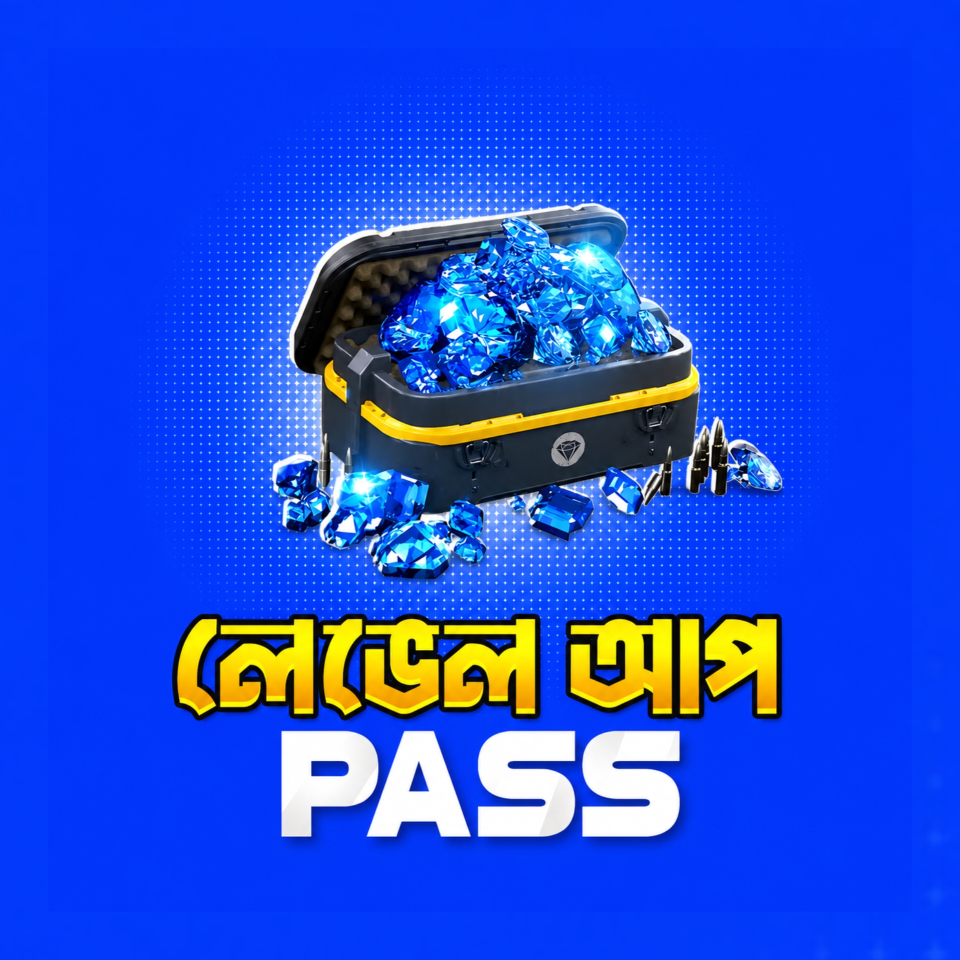 LEVEL UP PASS
